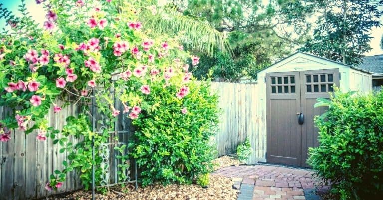 A shed in a neat back yard garden with flowers.